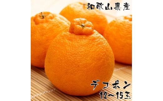 和歌山有田の濃厚大玉デコポン 12～15玉 約5kg［先行予約］［MS79］