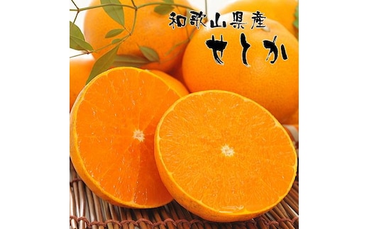 和歌山有田の濃厚せとか 約4～5kg ［先行予約］ | くだもの フルーツ 果実 果物 有田 みかん 和歌山 ［MS80］