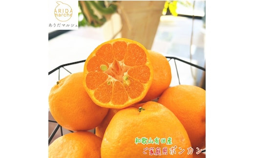 有田育ちの 完熟 ポンカン（ご家庭用）約2kg［先行予約］［MS118］