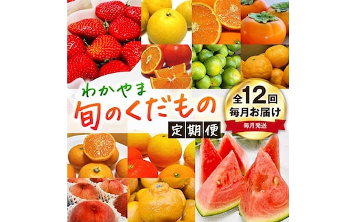 わかやま旬のくだもの定期便 全12回【Ｓ】【毎月発送】※北海道・沖縄・離島への配送不可 ［MS125］