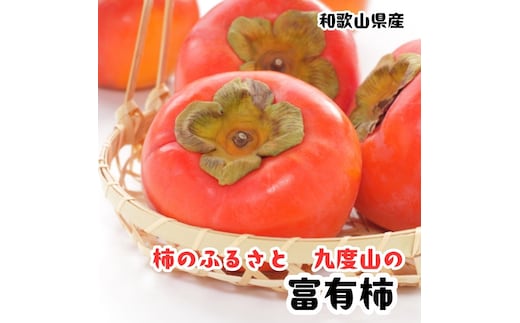 ［秋の美味］［九度山ブランド］柿のふるさと九度山の濃厚 富有柿 秀品 24～32玉(約7.5kg入り) 3L～Lサイズ（いずれか） ［MS152］