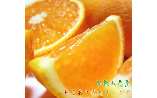 有田育ちの 完熟 清見 オレンジ（ご家庭用）約1.5kg［先行予約］［MS166］