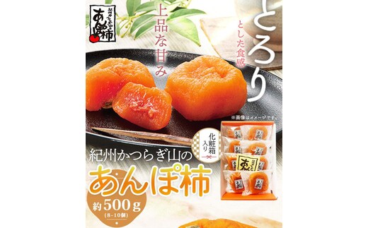紀州かつらぎ山のあんぽ柿 化粧箱入 約５００ｇ［2026年1月中旬以降発送予定］［UT07］