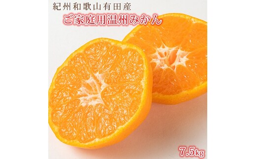 ［ご家庭用訳アリ］紀州有田産温州みかん7.5kg［2026年11月下旬以降発送］［先行予約］［UT10］