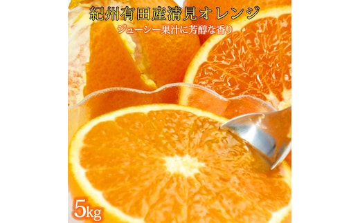 とにかくジューシー清見オレンジ 5kg［2026年3月下旬以降発送］［先行予約］［UT53］