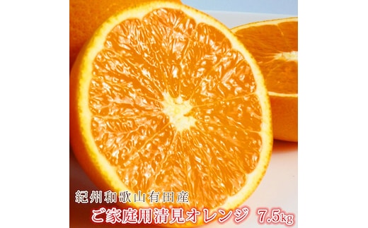 ［ご家庭用訳アリ］紀州有田産清見オレンジ 7.5kg［2026年3月下旬以降発送］［先行予約］［UT54］