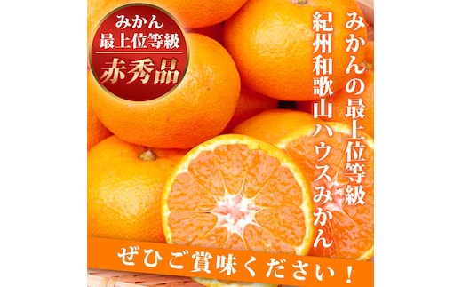 赤秀品 紀州和歌山ハウスみかん 2.5kg［2026年6月末頃～2026年7月中旬頃に順次発送］［UT87］