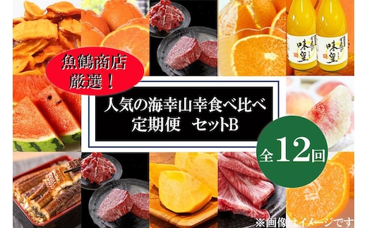 【魚鶴商店厳選！】人気の海幸山幸食べ比べ【定期便全12回】セットB【UT110】