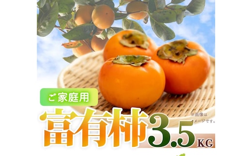 ［ご家庭用わけあり］和歌山秋の味覚 富有柿 約3．５ｋｇ 「2026年11月上旬以降発送予定」［UT51］