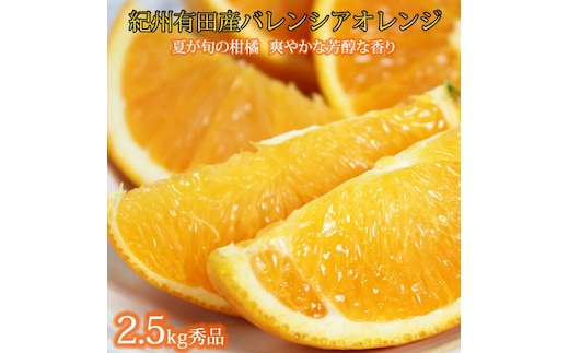 秀品 希少な国産バレンシアオレンジ 2.5kg［2026年6月下旬頃～2026年7月上旬頃に順次発送］［UT75］