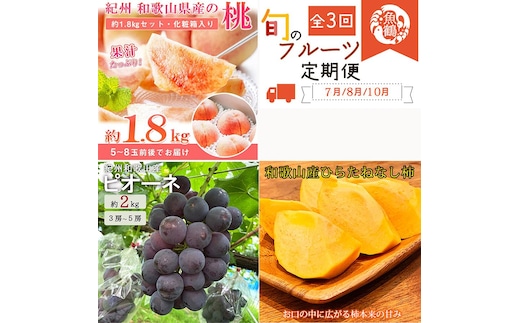 【7・8・10月 全3回】紀州和歌山産旬のフルーツセット（桃・ピオーネ・ひらたねなし柿）定期便 【魚鶴商店】【UT67】