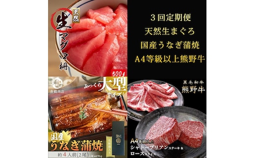 【定期便 全3回】紀州和歌山うまいもんセットA（生まぐろ・うなぎ蒲焼・熊野牛）【UT125】