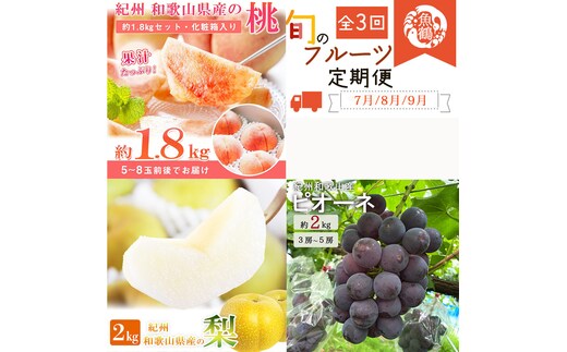 ［全3回 定期便］ 紀州和歌山産旬のフルーツセット（桃・梨・ピオーネ） ［UT142］