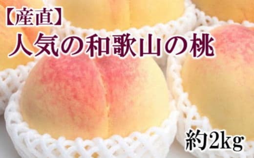 ［産直・人気の特産品］和歌山の桃 約2kg・秀選品★2026年6月下旬～8月中旬頃順次発送★［TM167］