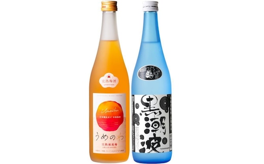 焼酎 黒潮波（くろしおなみ）720mlと紀州完熟南高梅「梅酒」720mlの2本セット【TM19】