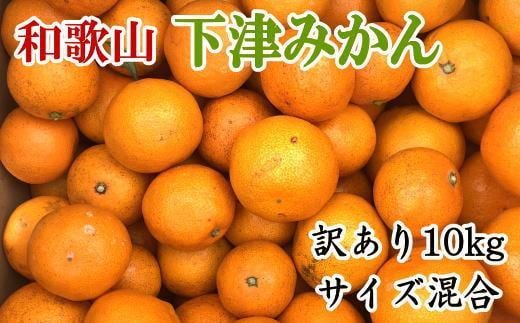 ［訳あり］和歌山下津みかん約10kgご家庭用向け(サイズ混合) ★2026年11月中旬頃より順次発送［TM78］