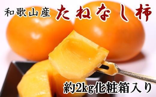 ［秋の味覚］和歌山産たねなし柿2L～4Lサイズ 約2kg（化粧箱入り）★2026年9月中旬頃より順次発送［TM39］
