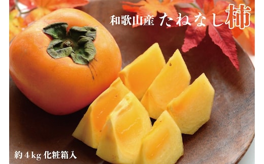 【秋の味覚】和歌山産たねなし柿2L～4Lサイズ約4kg（化粧箱入り）★2026年10月頃より順次発送［TM192］