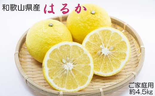 ［さわやか柑橘］和歌山県産はるかみかん約4.5kg（サイズ混合 ご家庭用）★2026年2月下旬頃より順次発送［TM161］