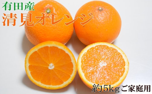 ［濃厚］有田産清見オレンジ約5kg（サイズおまかせ・ご家庭用）★2026年2月下旬頃より順次発送［TM151］