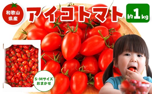 ［2026年5月出荷分］和歌山産ミニトマト「アイコトマト」約1kg（S・Mサイズおまかせ）［TM232］