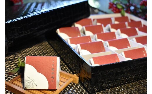 【ギフト用】高級南高梅うす塩個包装20粒入 紀州塗箱 網代模様仕上【SW81】