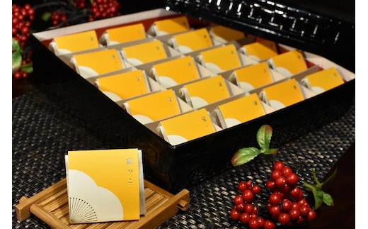 高級南高梅はちみつ梅個包装20粒入 紀州塗箱 網代模様仕上 【SW88】