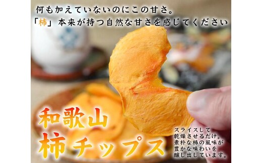 やわらか柿チップス 60g 10パック かきチップ 紀州味紀行 柿和歌 無添加 紀伊国屋文左衛門本舗【TC11】