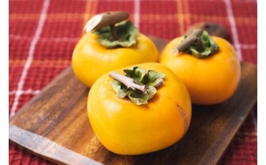 吊るし柿用たね無渋柿T軸又はクリップ付紐付約4.5～5kg 約24～30個＜2026年10月中旬～11月上旬ごろ順次発送＞【ART13】