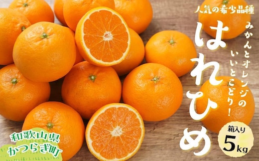 はれひめ（ミカンの希少種） 秀品 約5ｋｇ（25個～30個入）［先行予約］［2025年12月中旬頃から発送］［KG3］