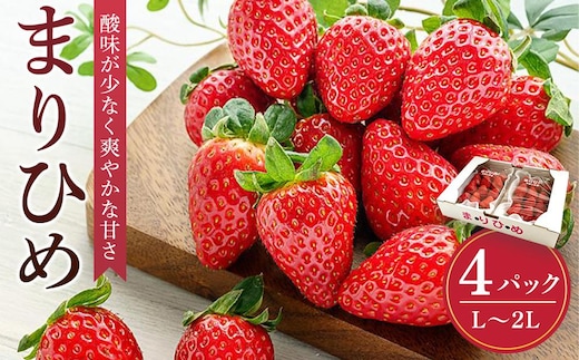 まりひめイチゴ L～２L 12粒～15粒×4パック［2026年1月中旬から発送］［先行販売］［KG8］
