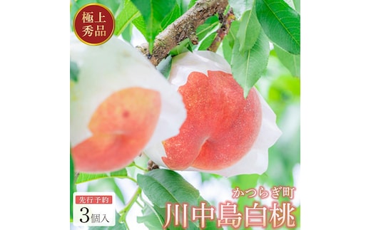 ［秀品］川中島白桃 食べきりやすい3個入り［2027年7月下旬頃より順次発送］こだわり 農家厳選 先行予約 モモ［KG16］