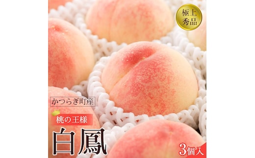 先行販売！［モモ］ 白鳳 桃の王様！食べきりやすい３個入り［2026年6月下旬頃より順次発送］［秀品］こだわり農家厳選 ［KG17］