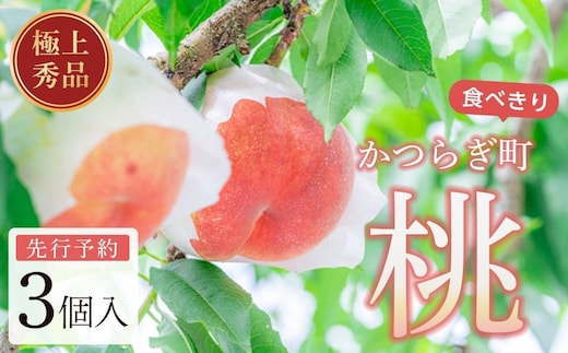 桃 極上秀品 食べきりやすい3個入［先行予約］［2027年7月下旬頃より順次発送］こだわり農家厳選！［KG18］