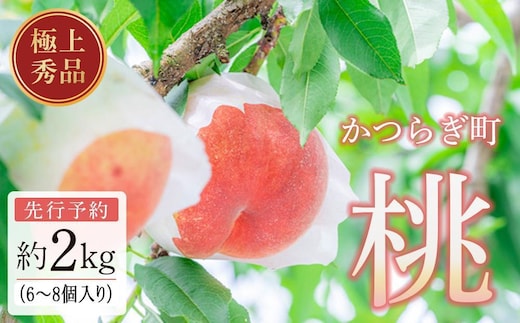 桃 極上秀品 約2kg 6～8個入［先行予約］［2027年7月下旬頃より順次発送］こだわり農家厳選［KG19］