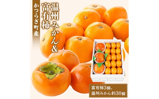 道の駅くしがきの里セット 富有柿3個・温州みかん約30個の詰め合わせ こだわり農家厳選［2026年11月初旬から11月末頃順次発送］［KG29］