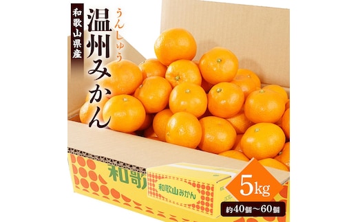 ［先行予約］［2026年11月初旬から11月末頃順次発送］ 和歌山県産温州みかん 約5kg（40個～60個）秀品 こだわり農家厳選！［KG31］