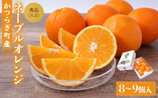 [先行予約] 和歌山県産ネーブル 約4kg 大玉（8個～9個）秀品 こだわり農家厳選 ［KG35］