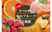【定期便4回】フルーツ王国かつらぎ町よりお届け！旬のフルーツ定期便【KG11】