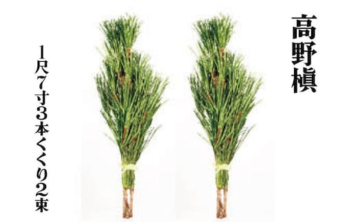 ◇高野槇 １尺７寸３本くくり２束