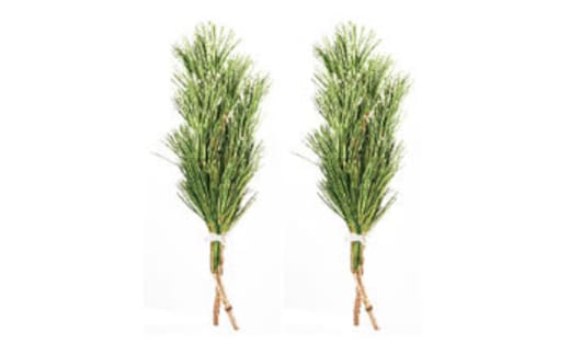 ◇高野槇 １尺５寸２本くくり２束