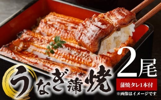 BC6006_うなぎ蒲焼 2本 角長特製蒲焼タレ 1本 セット 国産 安全 ふっくら うなぎ こだわり 蒲焼き 蒲焼 タレ うな丼 うな重 ひつまぶし う巻き うなむすび 土用 丑の日 水産加工品 魚介 海鮮 海産物 冷凍 和歌山県 湯浅町 お取り寄せ お取り寄せグルメ 送料無料