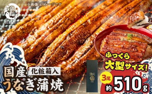 G7311_大型サイズ ふっくら柔らか 国産うなぎ 蒲焼き 3尾 (約6人前) 化粧箱入