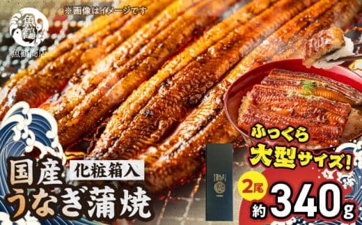 G7005_大型サイズ ふっくら柔らか 国産うなぎ 蒲焼き 2尾 (約4人前) 化粧箱入
