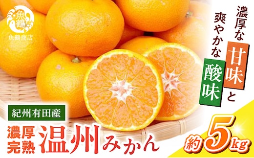 G7043_【2026年11月下旬より発送】紀州有田産 濃厚甘熟温州みかん 5kg