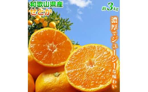 G7353_【2026年先行予約】とろける食感！ジューシー柑橘 せとか 3kg