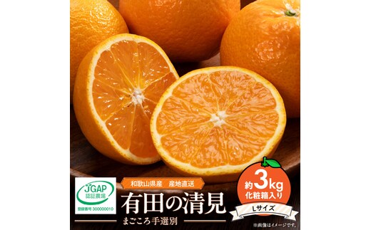 【2027年先行予約】和歌山県産 有田の 清見 3kg化粧箱入り Lサイズ_ZE6006n
