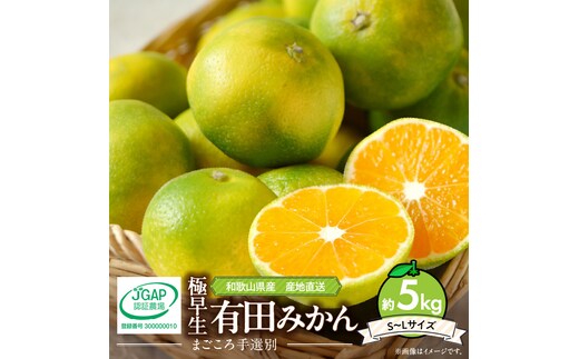 ZE6036n_【2026年先行予約】和歌山県産 有田みかん (極早生) 約5kg (S～Lサイズ)【サイズおまかせ】【まごころ手選別】