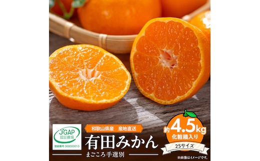 ZE6057n_有田みかん 化粧箱 約4.5kg 2Sサイズ【まごころ手選別】