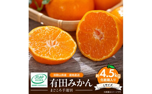 ZE6060n_和歌山県産 有田みかん 化粧箱 約4.5kg Lサイズ【まごころ手選別】